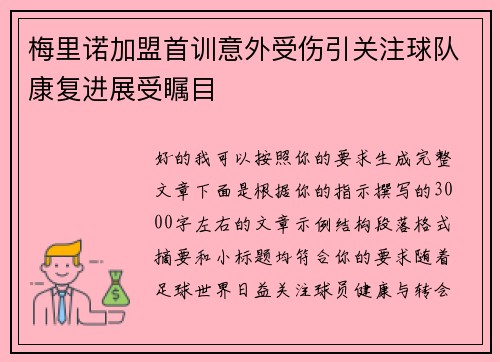 梅里诺加盟首训意外受伤引关注球队康复进展受瞩目
